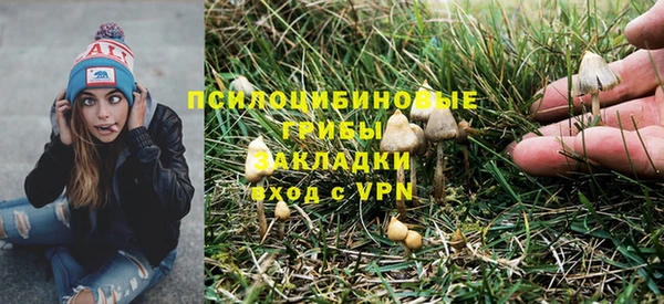 spice Абаза