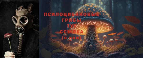 spice Абаза