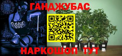 герыч Моздок
